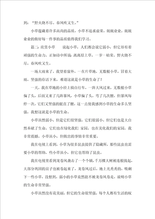 欣赏小草精选作文500字