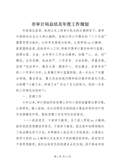 市审计局总结及年度工作规划 (3).docx