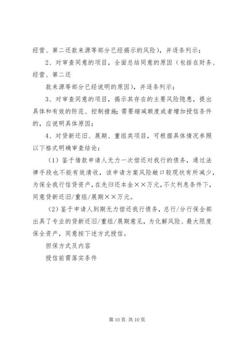 咨询审查报告内容 (3).docx