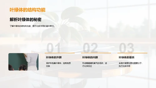 绿色能源之源