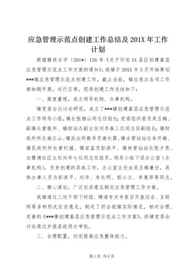 应急管理示范点创建工作总结及201X年工作计划.docx