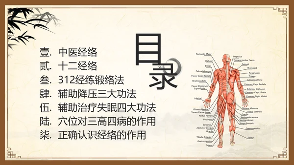 棕色复古中医经络养生PPT模板宣传PPT动态PPT