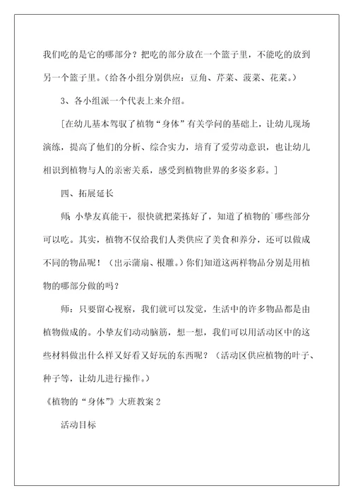 2022《植物的“身体》大班教案