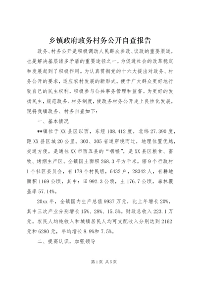 乡镇政府政务村务公开自查报告.docx