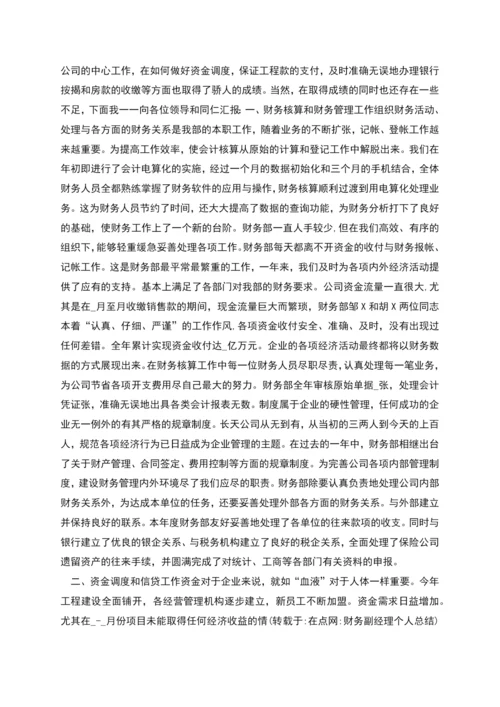 财务副经理个人总结.docx