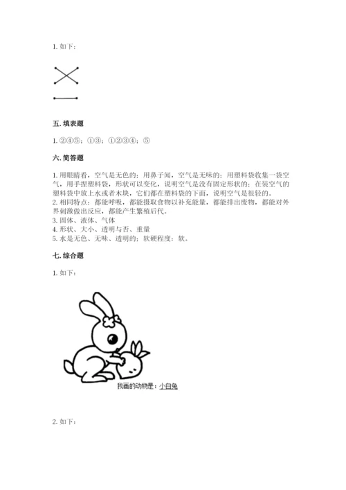 教科版小学科学一年级下册期末测试卷附参考答案【预热题】.docx