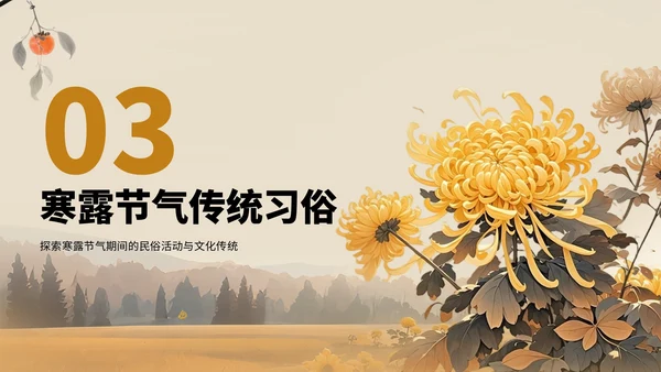 橙色中国风寒露节气PPT模板