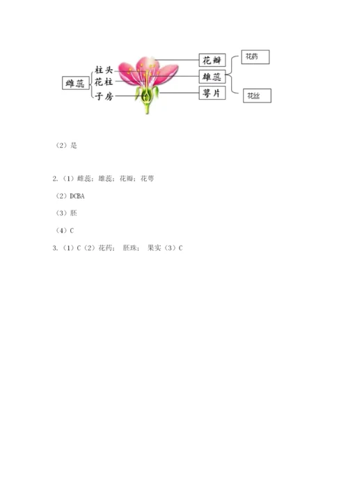 教科版四年级下册科学第一单元《植物的生长变化》测试卷精品（夺冠系列）.docx