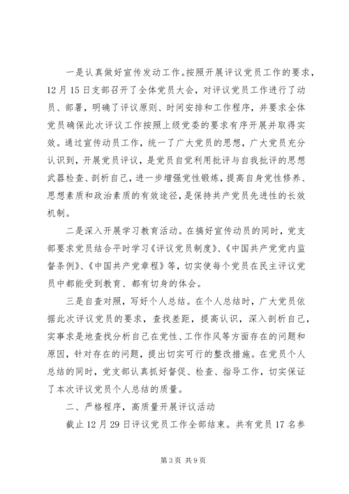 村党支部党员民主评价范文.docx