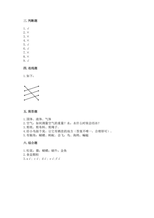 教科版一年级下册科学期末测试卷附参考答案【满分必刷】.docx
