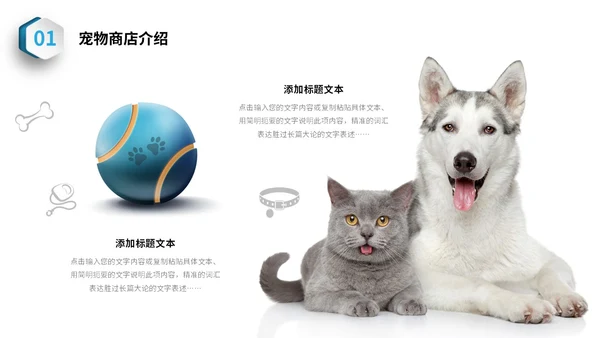 蓝色简约3D立体宠物商业计划书PPT