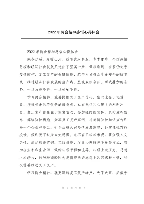 2022年两会精神感悟心得体会.docx