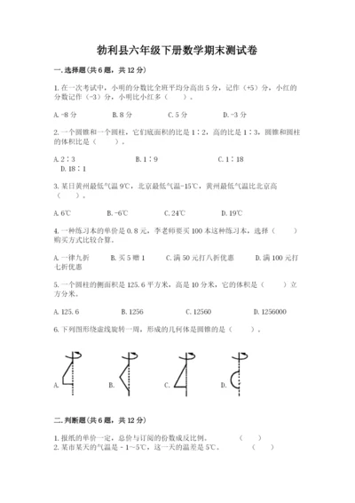 勃利县六年级下册数学期末测试卷（典型题）.docx
