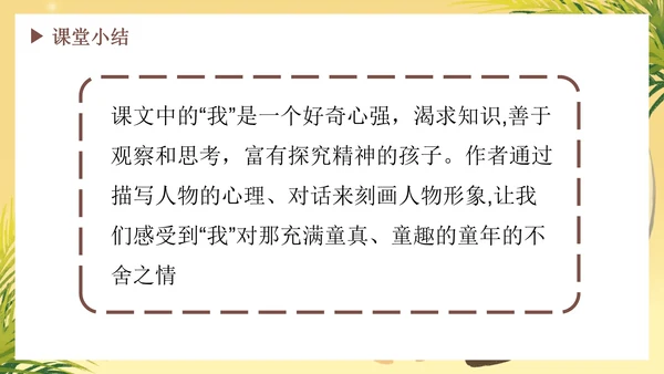部编版语文六年级下册《表里的生物》