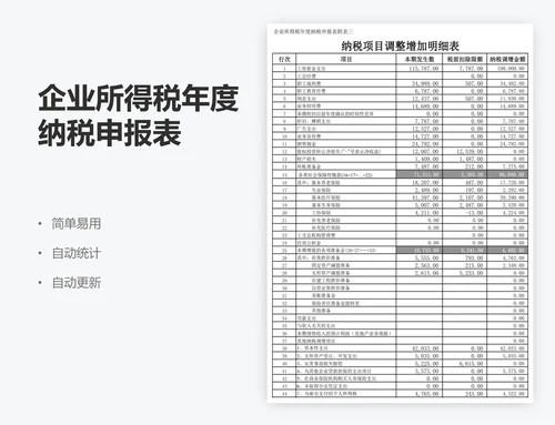 企业所得税年度纳税申报表