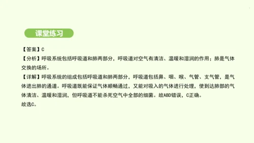 第四单元-第三章-第一节-呼吸道对空气的处理课件-2024-2025学年七年级生物下学期人教版(20