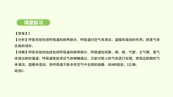 第四单元-第三章-第一节-呼吸道对空气的处理课件-2024-2025学年七年级生物下学期人教版(20