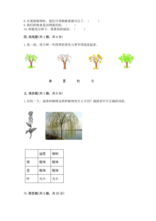 教科版一年级上册科学期末测试卷【黄金题型】.docx