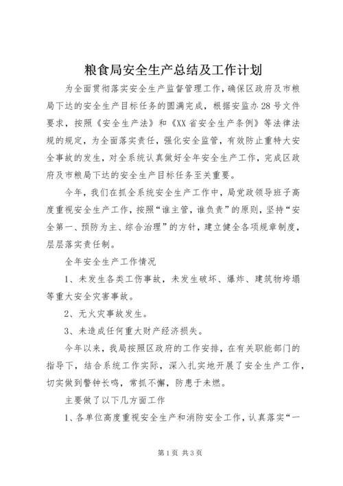 粮食局安全生产总结及工作计划.docx