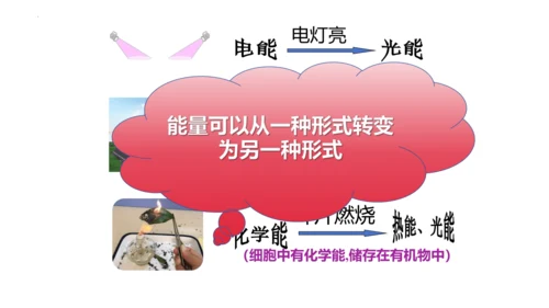 2.1.4细胞的生活课件2023--2024学年人教版生物七年级上册(共34张PPT)