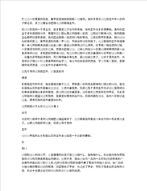 试用期期间个人在岗总结03篇