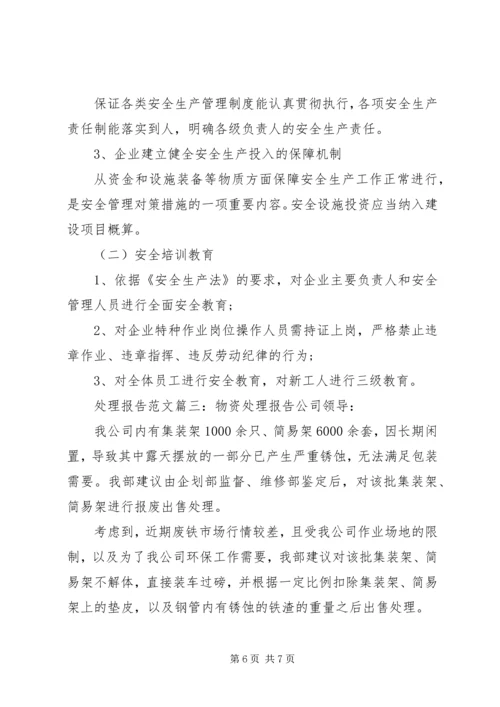 处理报告范文3篇.docx