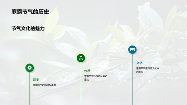 寒露节气文化探寻