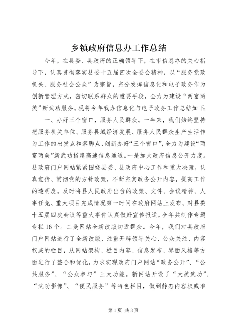 乡镇政府信息办工作总结.docx