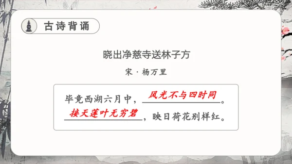 17古诗三首饮湖上初晴后雨 课件