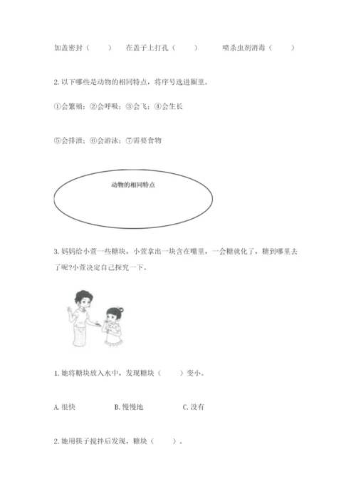 教科版一年级下册科学期末测试卷含答案（新）.docx