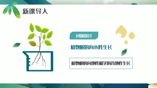 植物生长素的发现生物课件通用PPT模板