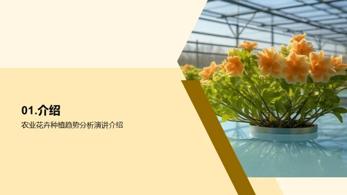 花卉产业：创新与策略