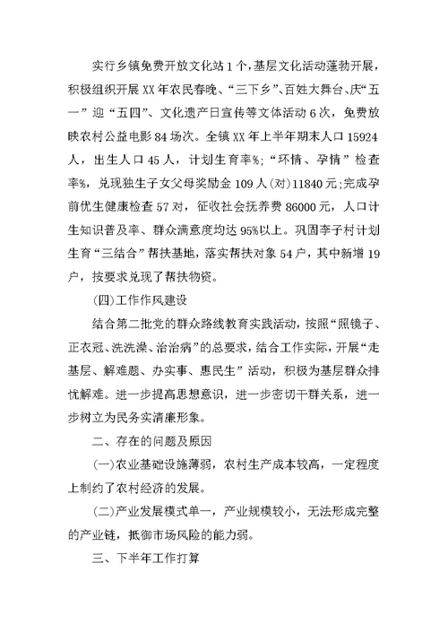 政府半年工作总结 5
