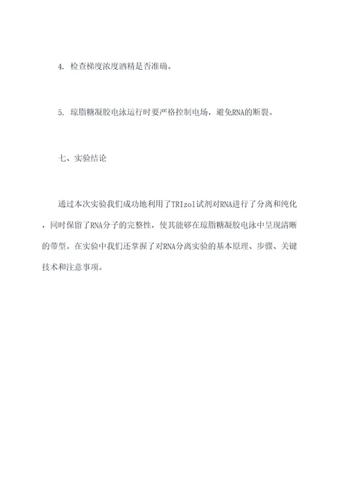 rna分离实验报告