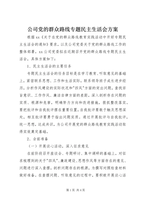 公司党的群众路线专题民主生活会方案.docx