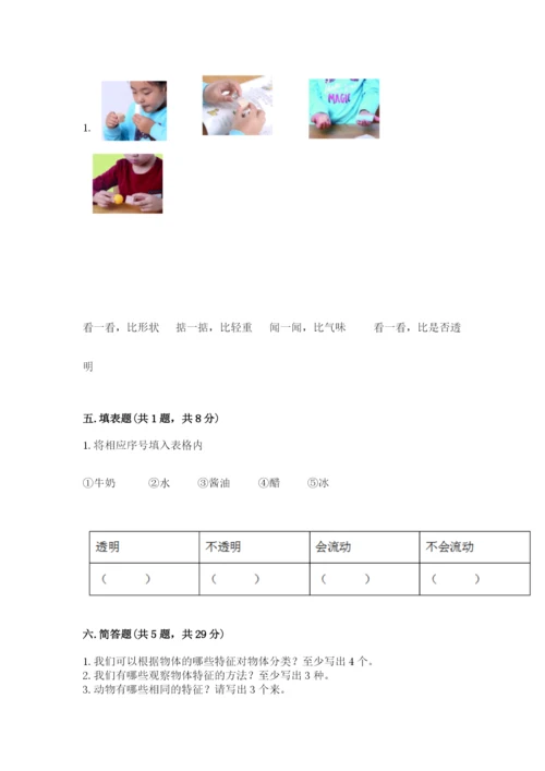 教科版小学科学一年级下册期末测试卷附参考答案【轻巧夺冠】.docx
