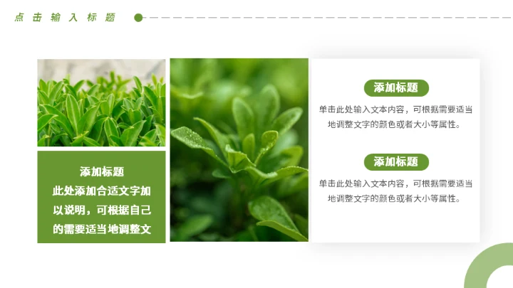 春茶产品介绍茶叶宣传手册通用PPT模板