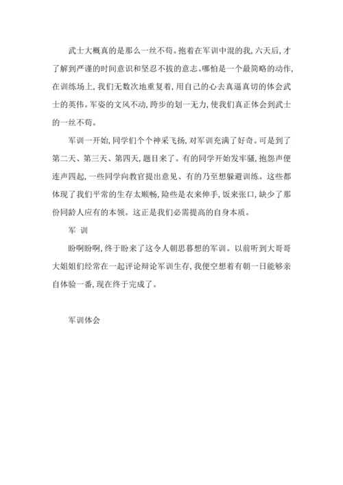 军训游戏心得5篇.docx