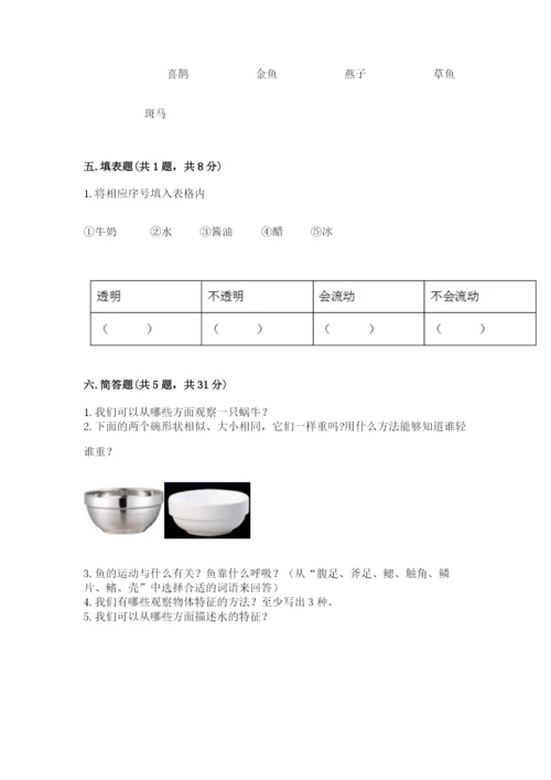 教科版一年级下册科学期末测试卷及参考答案（模拟题）.docx