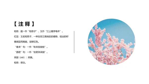 文艺小清新唐诗王维相思PPT教学课件