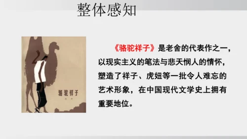 七年级下册语文第三单元整本书阅读 《骆驼祥子》课件
