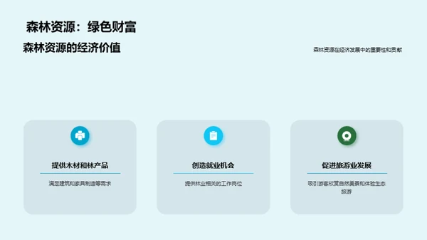 森林宝藏：可持续之道