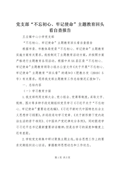 党支部“不忘初心、牢记使命”主题教育回头看自查报告.docx