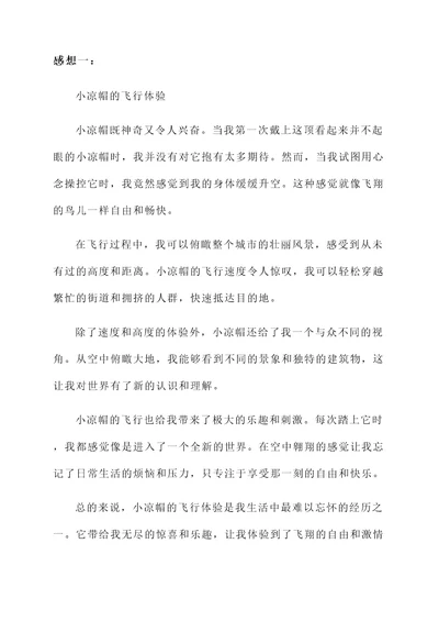 会飞的小凉帽的感想