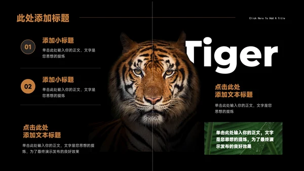 Tiger老虎通用PPT演示模板