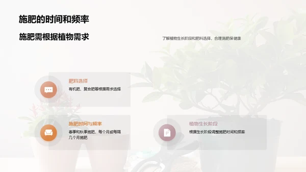 植物养护：小白到专家之路