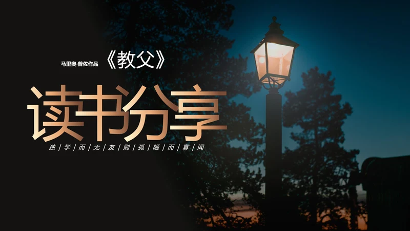 《教父》读书笔记ppt模板