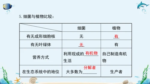 人教版八年级生物上册5.4《细菌和真菌》复习课件（含31张ppt）