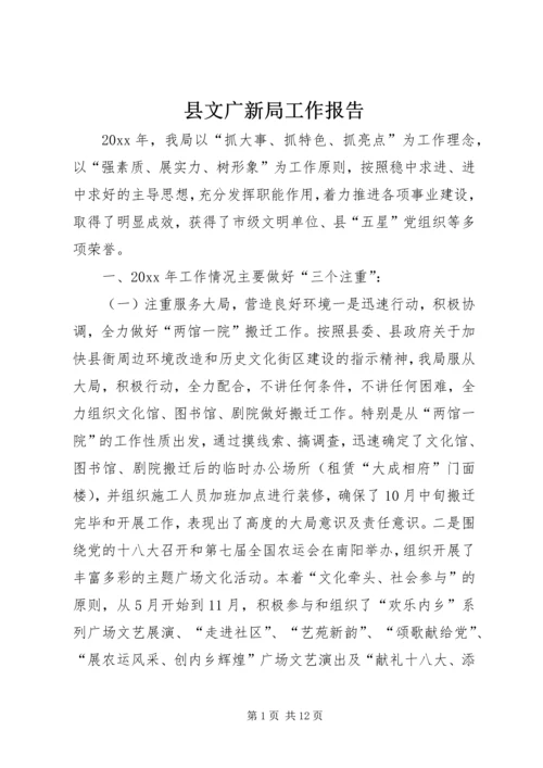 县文广新局工作报告.docx