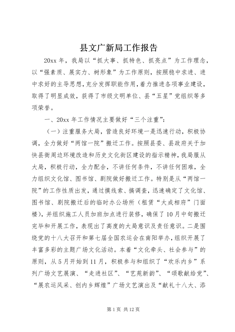 县文广新局工作报告.docx